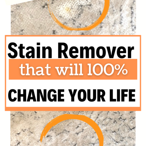 Game Changing Stain Remover!